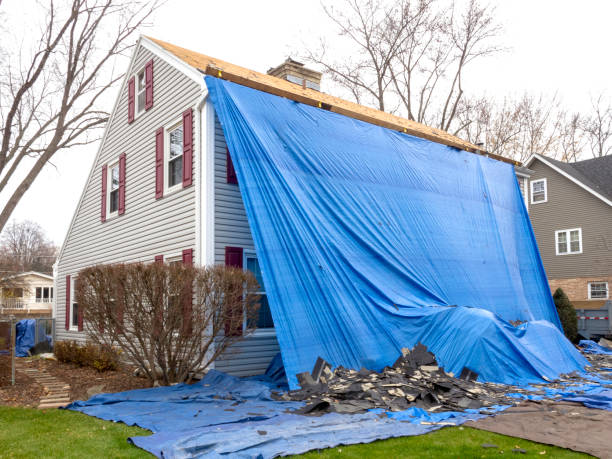 Shed Removal in Mio, MI
